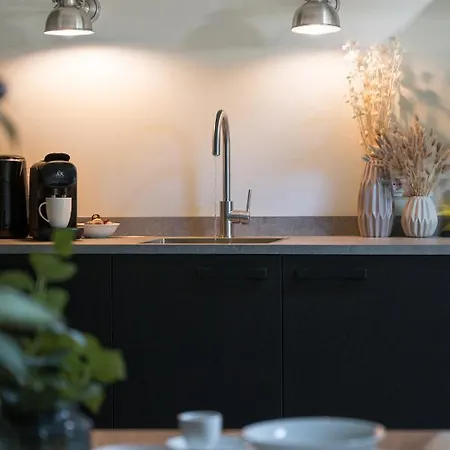 De Stamhoeve, Luxe Vakantiehuis, Rustig Gelegen Bij De Loonse & Drunense Duinen Tussen 's Hertogenbosch En Tilburg * Biezenmortel