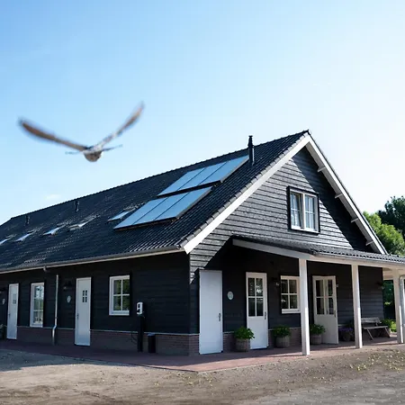 Dom wakacyjny De Stamhoeve