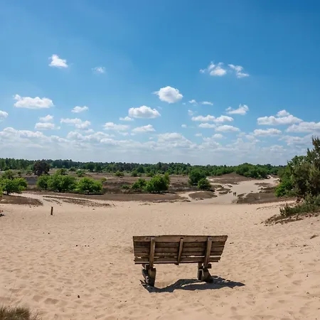 Holiday home De Stamhoeve, Luxe Vakantiehuis, Rustig Gelegen Bij De Loonse & Drunense Duinen Tussen 'S Hertogenbosch En Tilburg Biezenmortel