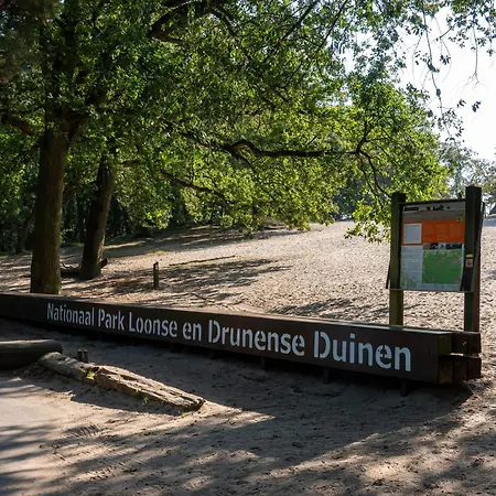 De Stamhoeve, Luxe Vakantiehuis, Rustig Gelegen Bij De Loonse & Drunense Duinen Tussen 'S Hertogenbosch En Tilburg